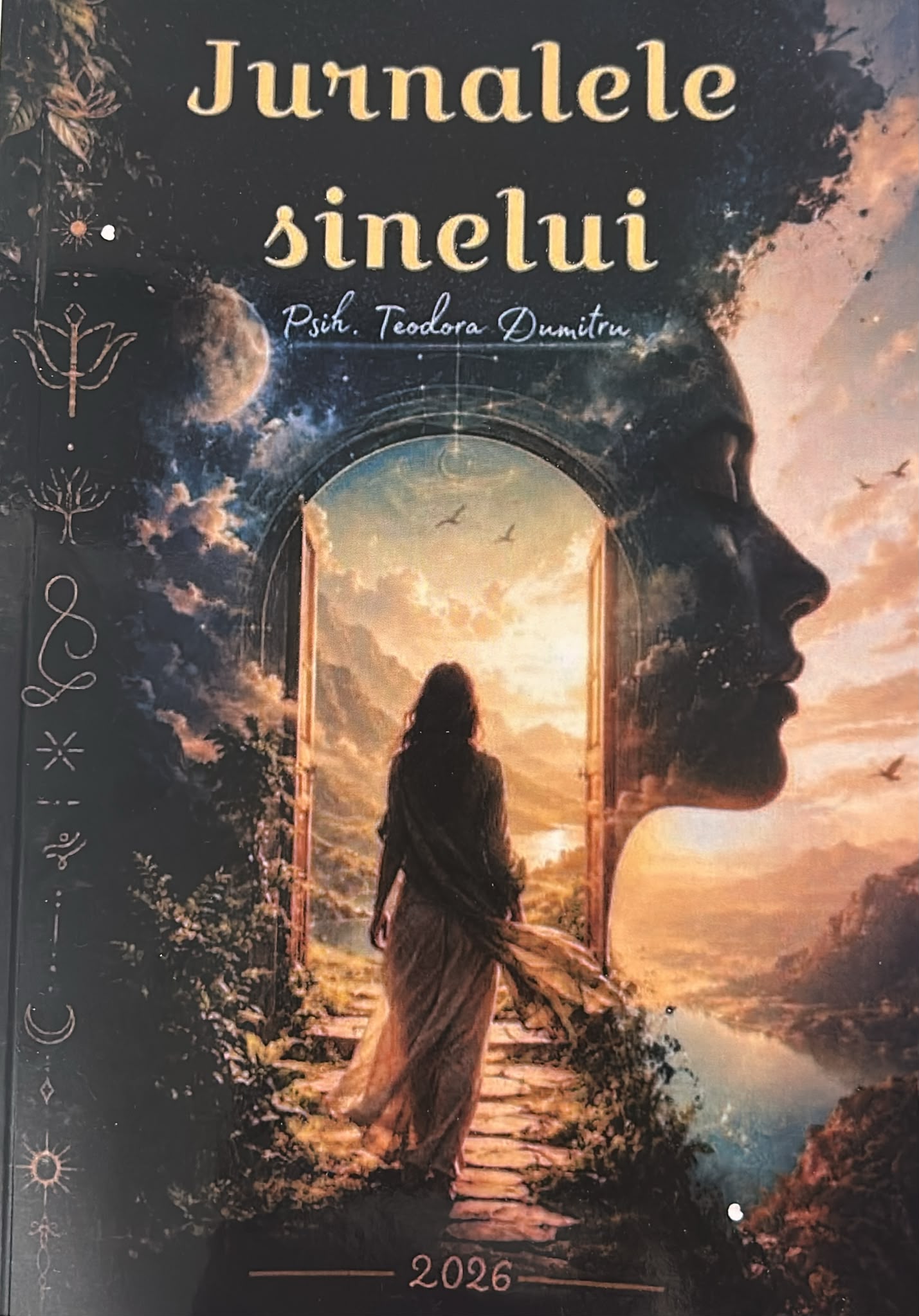 Jurnalele Sinelui - coperta